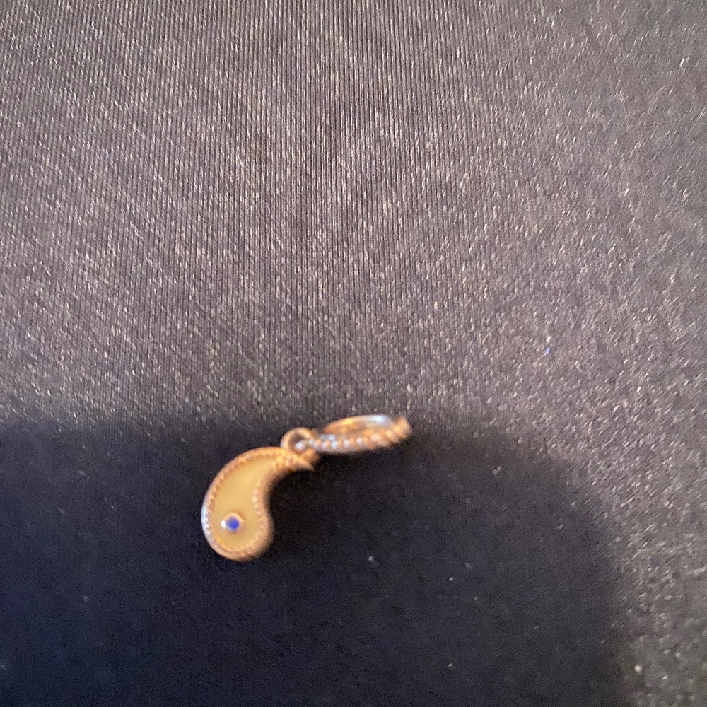 Pandora Yang Charm